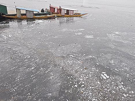 endangered of four lakes in kashmir 
