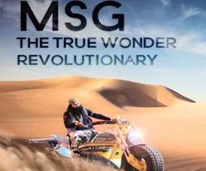 Highcourt Refuse to Ban Gurmeet Ram Rahim 'Massenger of God'