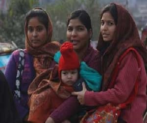 cold wave in up take 15 people life.
