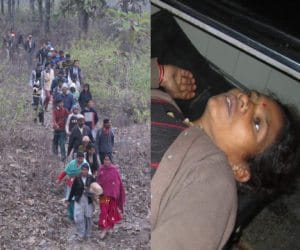 elephants attack on woman.