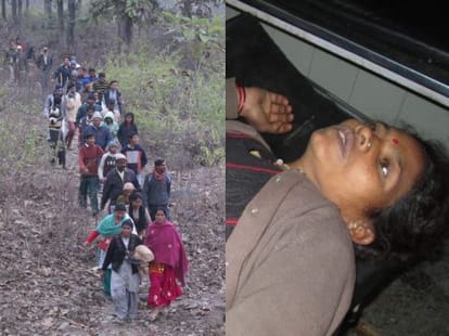 elephants attack on woman.