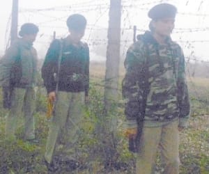Tourists will enjoy Border safari