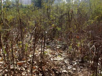 rohtak rape: brutal like delhi rape case