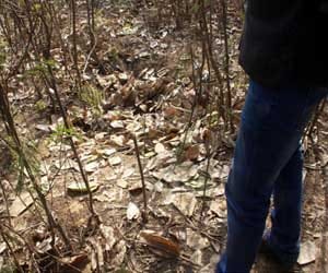 Woman gang-raped and murdered in south Delhi's Vasant Kunj area, accused arrest
