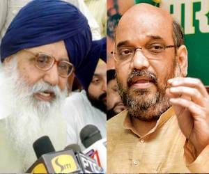 nigam election, akali bjp victory review