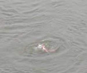 young woman commit suicide jumped over bridge
