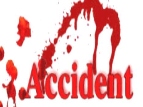 pickup accident at Lahaul Spiti, one died.