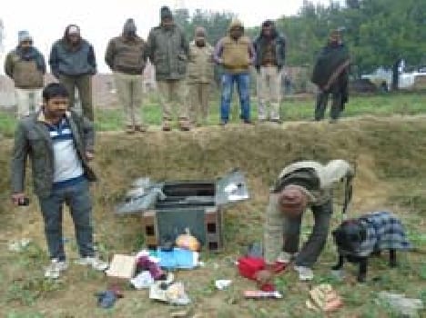 Thieves also took two of bullion crawling