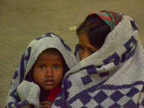 life disturv for cold wave