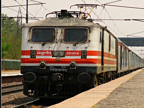 Reverse shatabdi struck nilgai , accident averted