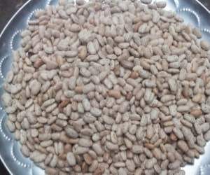 150 kg rajam sale in one week