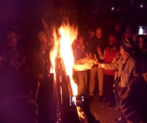 lohri celivration