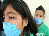 swine flue