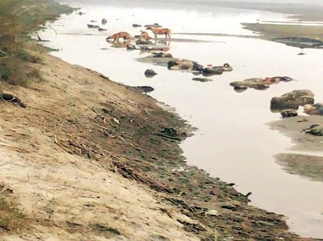 many body in pariyar ghat
