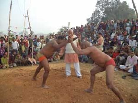 Makar Sankranti festival celebrating with enthusiasm