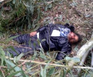 worker died under the tree.