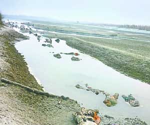 104 dead bodies found in Ganga, on Unnao Ghat in UP