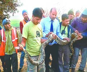 to visit highway Python reappeared on dnd in noida.