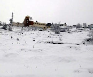 national skiing championship in auli.