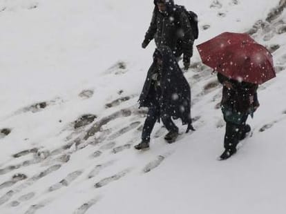 snowfall in himachal.