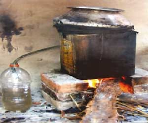 police drive against country liquor