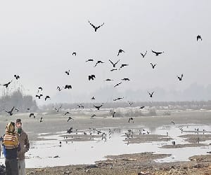 ADM investigation bodies handed over to meet in pariyar ghat