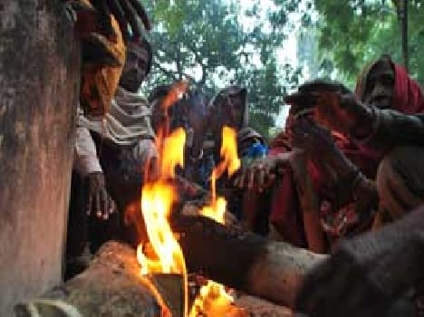 Cold -hit , five were killed