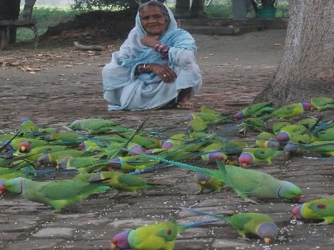 Divine love is the life of jasmine Prindaen