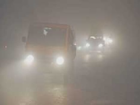 cold and Fog disturv lifestyle