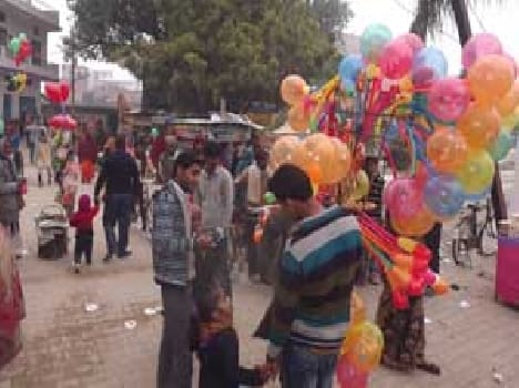people celebrated Makarsankranti 