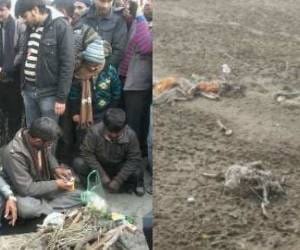 Dead bodies in ganga, dna test and havan for soul.