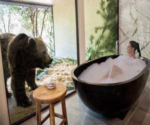 most amazing hotel ever?