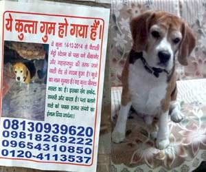 'Google has lost 50 thousand reward for seekers.