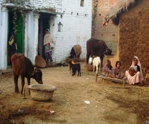 why people of dalit caste in afraid in shankar bigha tola bihar?