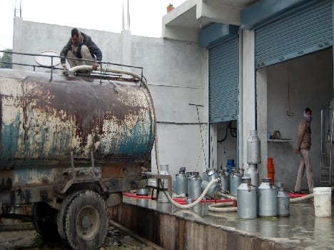 Seal milk chiller plant running without license
