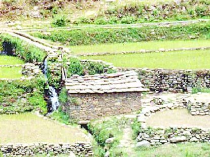 Grat in Himachal are on the verge of ending