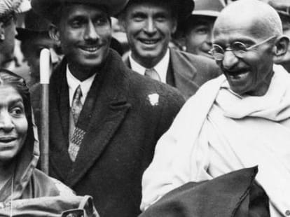 Kill the stray dogs caught in controversy Gandhi.