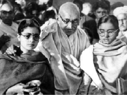 Kill the stray dogs caught in controversy Gandhi.