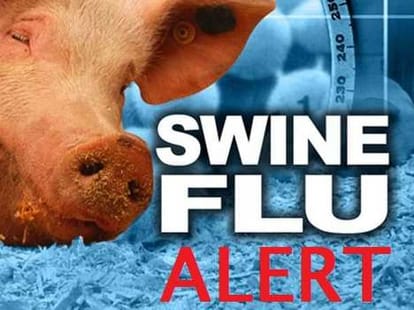 swine flu in himachal.
