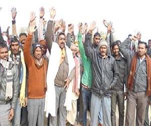 two neelgae died, cobra wire