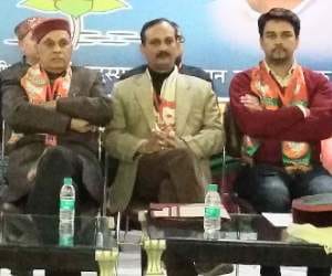 BJP investigation committee submit report over illegal tree felling in chamba.