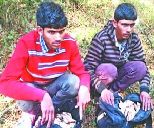 theft in jakhu baba balaknath temple, theif caught red handed.