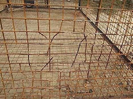 Tell hyena , tear escaped cage