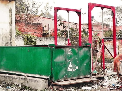 Garbage dump , consuming the ' restore '