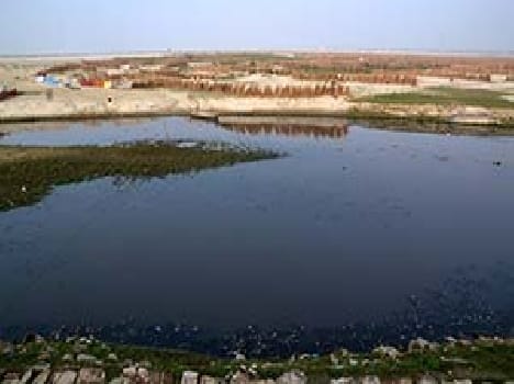 The machine will clean the river today
