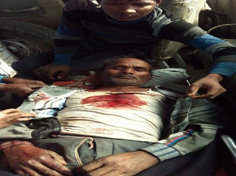 Aged wounded tiger attack