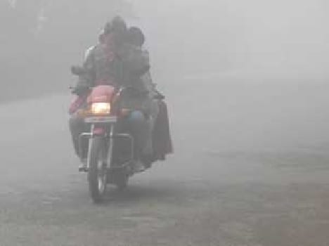 The sun umbrella body to be disturbed by fog relief