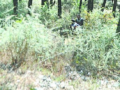 third deadbody found in shimla.