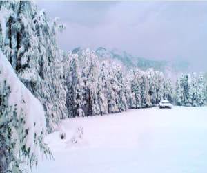 alert for heavy snowfall in himachal.