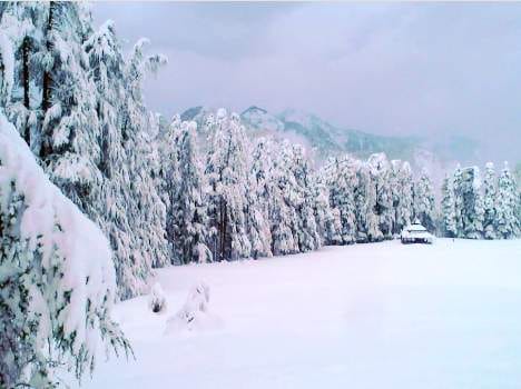 heavy snowfall in himachal.